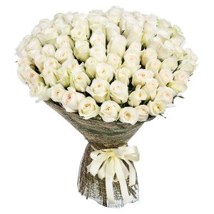 Pugét 100 bílých růží